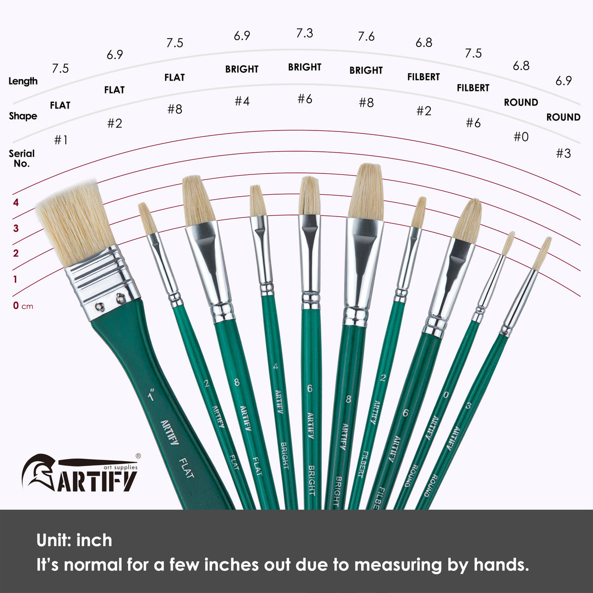 ARTIFY 10 Pcs Hog Hairs Paint Brush Set Artify