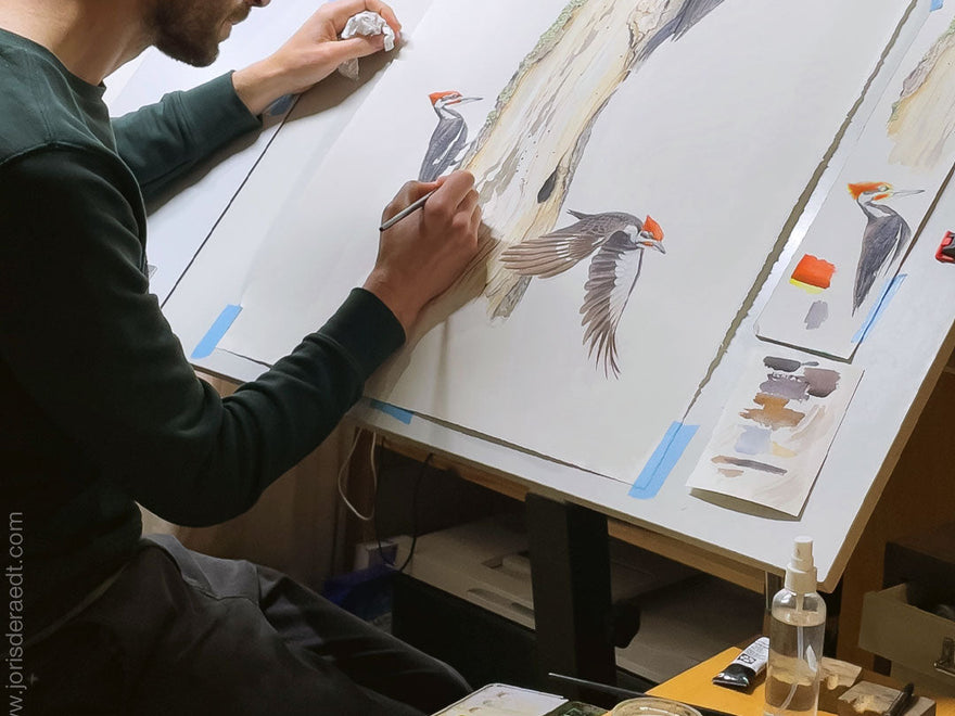 From Field to Studio: An Artist Spotlight on Joris De Raedt