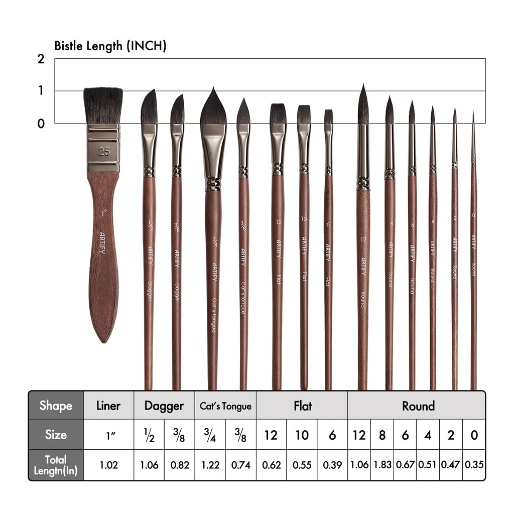 Set of paint brushes with measurements on a white background