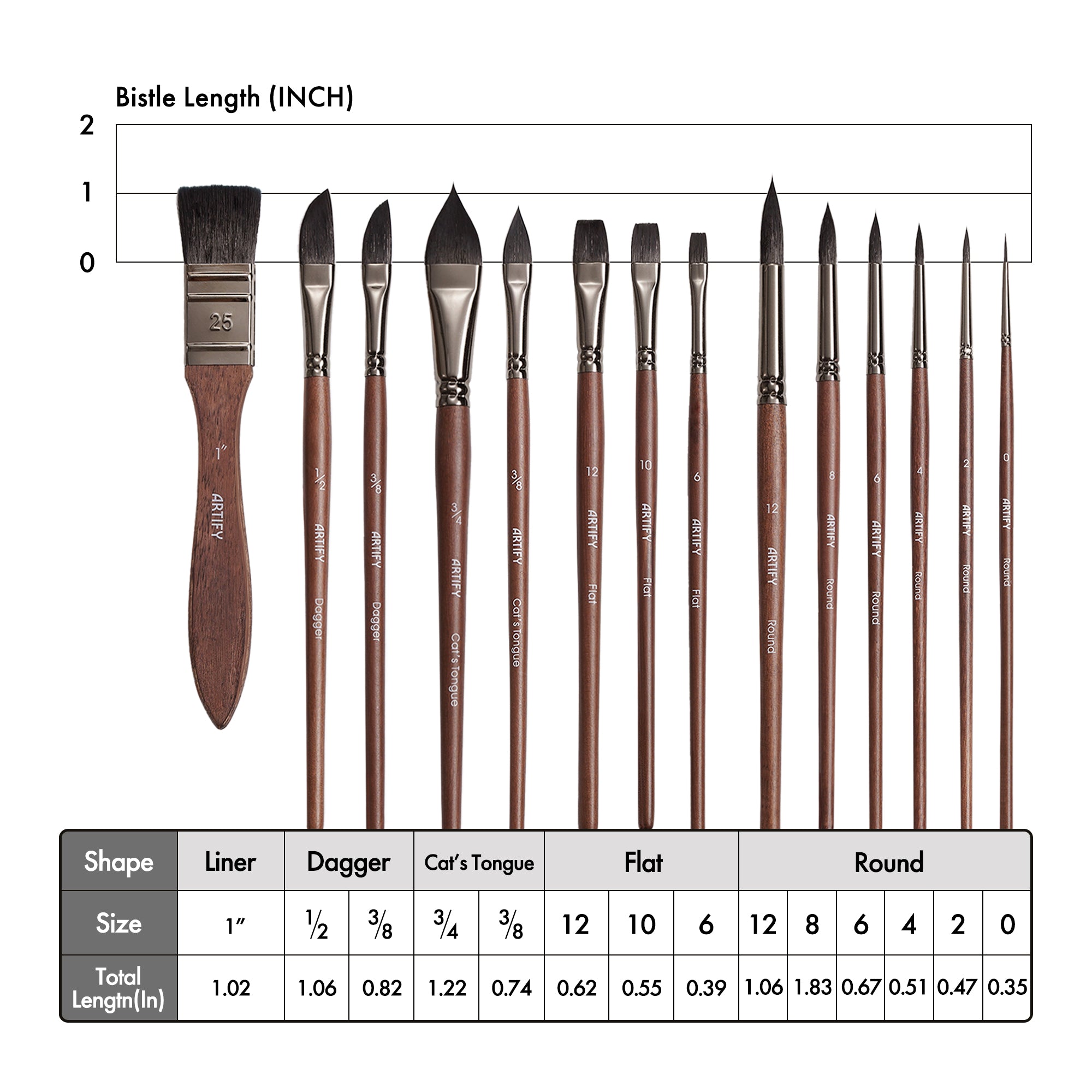 Set of paint brushes with measurements on a white background