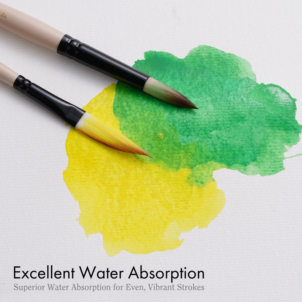 Professional Watercolor Paint Brush Set with Case for Beginners & Pros,Various Shapes - Artify