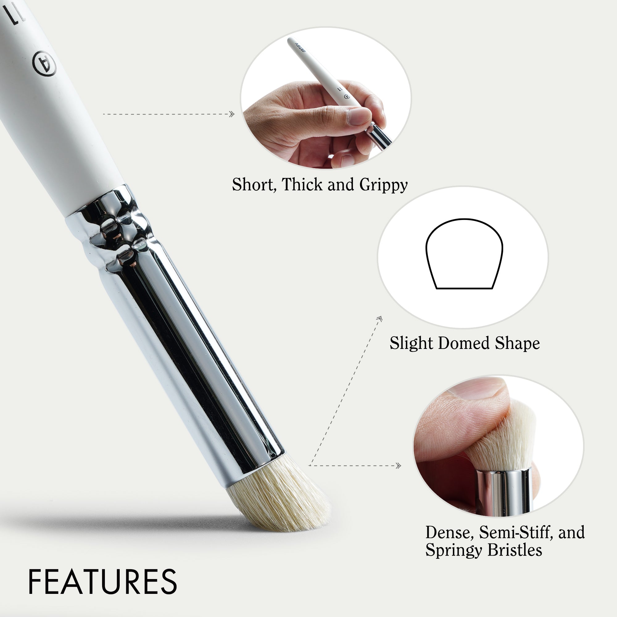 ARTIFY 5 Sizes Drybrush Set for Effortless Miniature, Model, Ceramics, Citadel Painting (White)