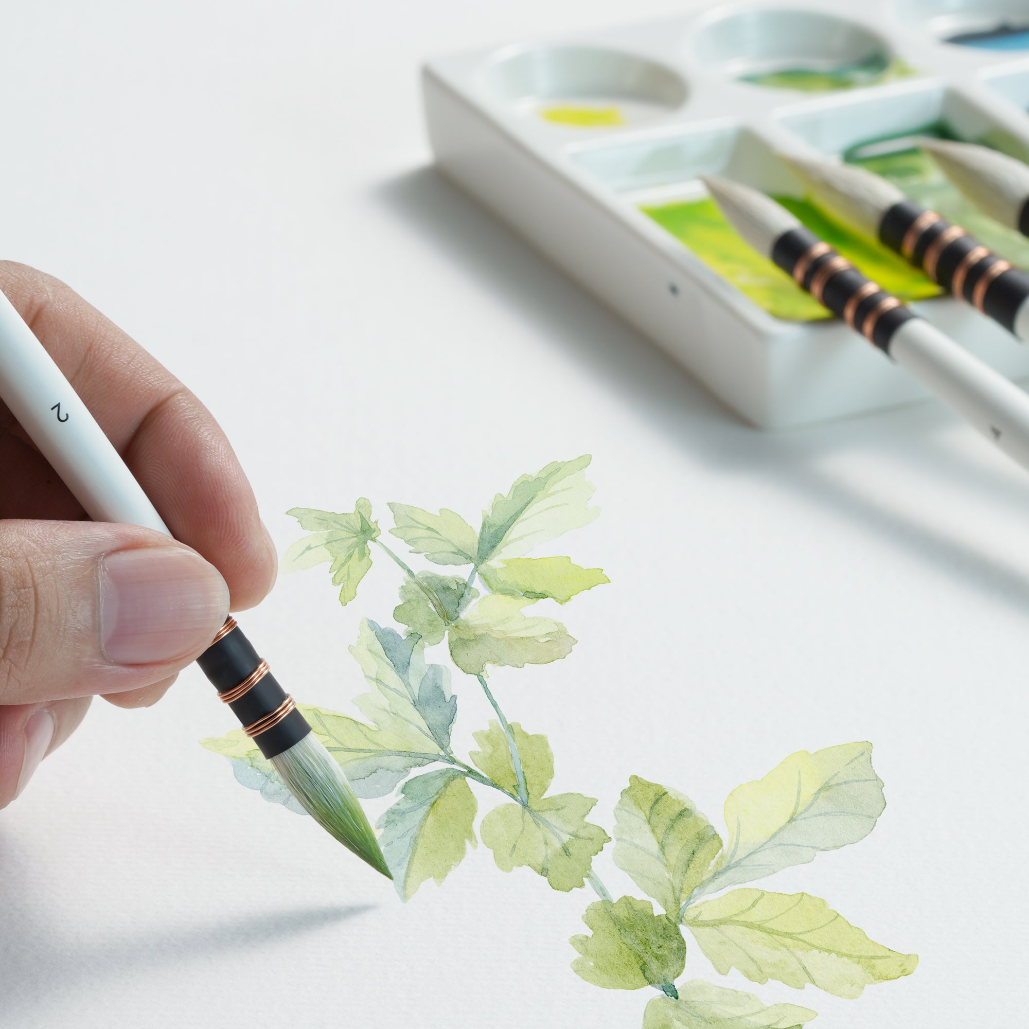 ARTIFY Professional Goat Hair Watercolor Brushes - Artify