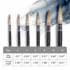 ARTIFY 6 PCS Synthetic Quill Brush Watercolor Mop Brush Set, Expert Series