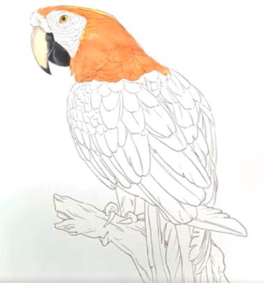 Blog Line Draft — One Set Containing Multiple Pictures - Artify