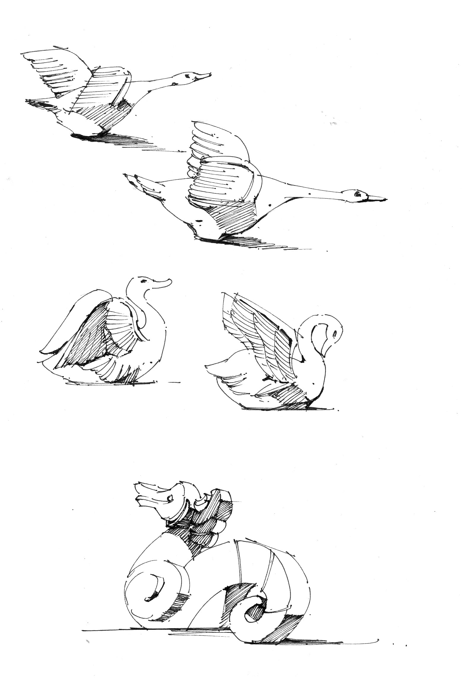 Line Draft For Beginner — One Set Containing Multiple Pictures - Artify